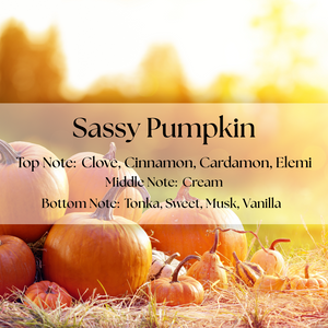 SASSY PUMPKIN WAX MELTS SASSY PUMPKIN WAX MELTS