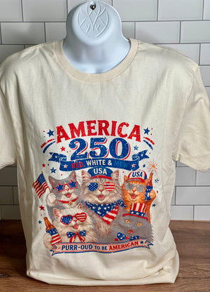 AMERICA 250TH CATS