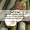 DAY SPA WAX MELT