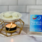mango & coconut wax metl