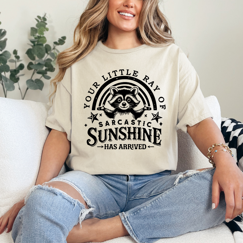 Your little ray of sarcastic sunshine has arrived tshirt